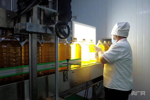 高質量發(fā)展 新 速度丨新疆高質量推動糧油產業(yè)集群建設