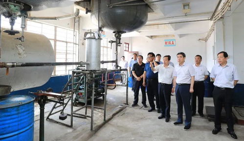 集團領導深入實業(yè)公司調研，聚焦轉型發(fā)展重點