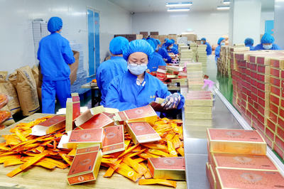 強化科技創新引擎，阿榮旗引領民營企業高質量發展